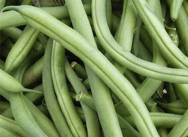 Green Beans