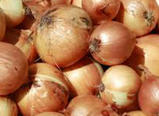 Onion