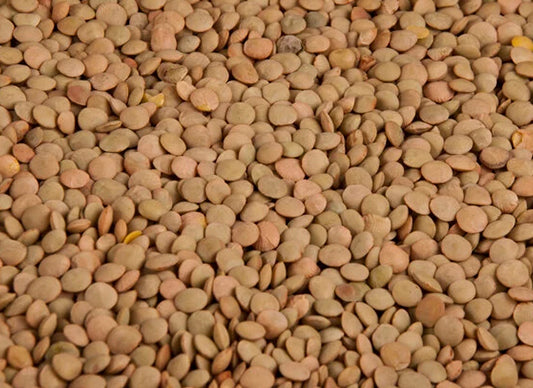 Lentils