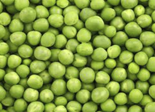 Canned Peas
