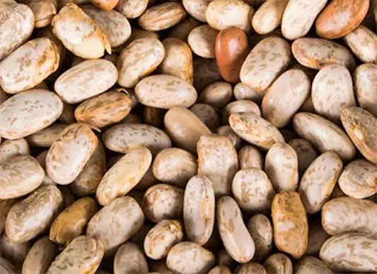 Pinto Beans